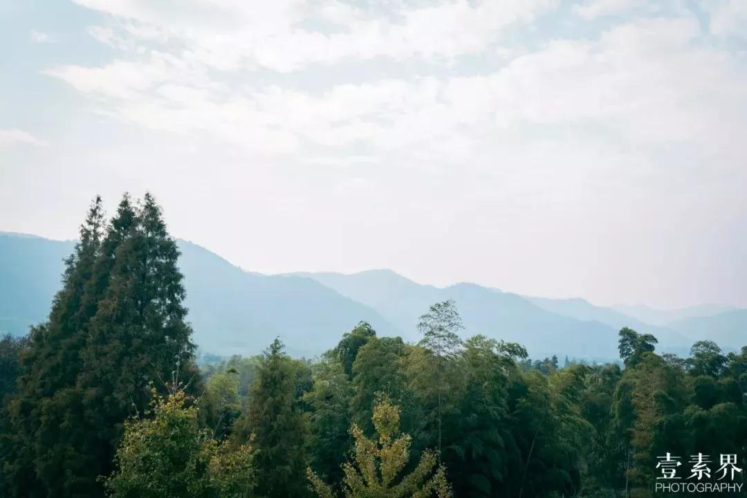 东北姐妹在西餐厅吃什么_姐妹餐馆_东北姐妹饺子馆